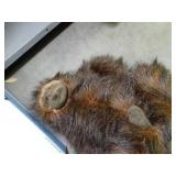 KU and Monkey Stuffed animals