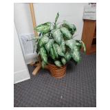 Hall-tree and Faux Plant