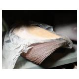 Old Curled Sanding Disc