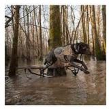 Alps Outdoorz Topflight Dog Vest Medium