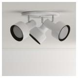UL Listed 3 Light Multi-directional Flush Mount Ceiling Fixture, Gray