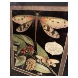 Decorative Elegant Dragonfly Pictures in Extremely Detailed Frames