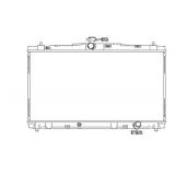 Radiator Platinum Pro - RAD13269