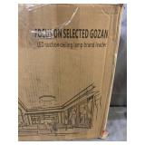 Focus On Selected Gozan LED