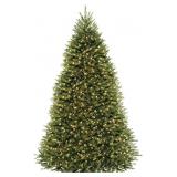 National Tree Company Pre-Lit Artificial Full Christmas Tree, Dunhill Fir, Dual Color LED Lights, 10 Feet ~ Retail: $699