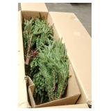 National Tree Company 