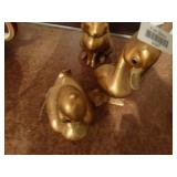 Gold color animals