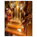 Large hair fashion trophy