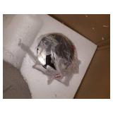 Mitzi H238701L Blair 1 Light 16" Wide Pendant