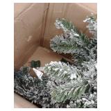 Puleo International 6