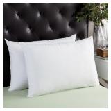 Splendorest Luxury Down Alternative Standard-size Pillows (Set of 2)