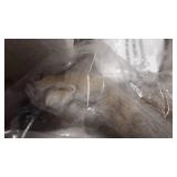 Creative Co-Op 20.5" Resin Standing Figurine with Whitewash Finish Deer