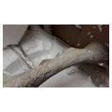 Creative Co-Op 20.5" Resin Standing Figurine with Whitewash Finish Deer