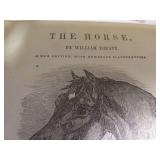 Antique The Horse by William Youatt, Condition Fair for age