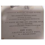 Antique The Horse by William Youatt, Condition Fair for age