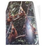 2004 Among Orangutans by Carel Van Schaik, Library Book, Condition VG