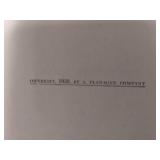 1939 Little Greta of Denmark and 1940 Little Lauri of Finland by Bernadine Bailey, Condition Poor to Good