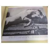 Homemade Boy Scout Scrapbook with Wooden Cover, Condition Good to VG