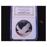 2008 P Bald Eagle UC/PR69