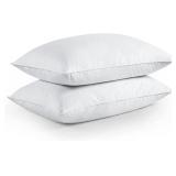 Snug And Cozy 20x26 Inch White Down Pillows, Set Of 2