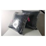 Lot of 2 Black Sunbrella Canvas Outdoor Throw Pillows, 15×15"
