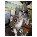 Sturdy Wheeled Cart 24" x 32"