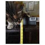 Sturdy Wheeled Cart 24" x 32"