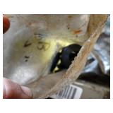 Bolts and Washers Lot