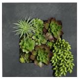 Carson Carrington Tasback Galvanized Steel/ Zinc Succulent Planter