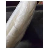 Alison Floral Lace 58" x 72" Curtain Panel