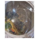 Reflection Fish Bubble Deluxe Mirrored Wall Mounted Fish Tank