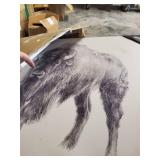 Western Bison Study -Premium Gallery Wrapped Canvas