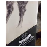 Western Bison Study -Premium Gallery Wrapped Canvas