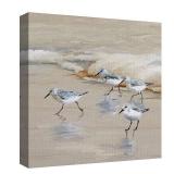Masterpiece Art Gallery Sandpiper Beach I Amber by Studio Arts Canvas Art Print - Multi-color