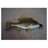 Paper Mache Fish | Hand Painted | 15" x 6"