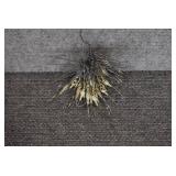 Large Lot of Fly Hooks