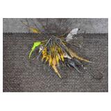 Large Lot of Fly Hooks