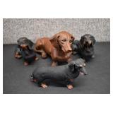 Lot of 4 Dachshund Figurines | Resin