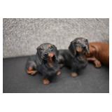 Lot of 4 Dachshund Figurines | Resin