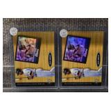 Lot of 15 1997 Upper Deck UD3 National Pride Baseball Cards | Buhner Castilla Galarraga Vaughn (x3) Palmeiro (x3) Murray (x6) | In hard cases