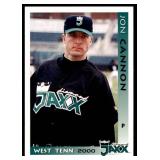 Set of 30 Team Set West Tenn Diamond Jaxx 2000 Minor League Baseball Cards