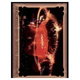 Lot of 48 Centennial Olympic Games Cards | Collect-A-Card