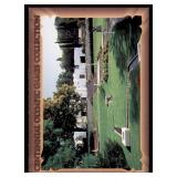 Lot of 48 Centennial Olympic Games Cards | Collect-A-Card