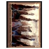 Lot of 48 Centennial Olympic Games Cards | Collect-A-Card