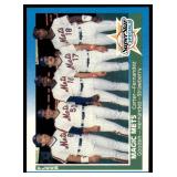 Lot of 46 1987 Fleer Baseball Cards | Stars & Hall of Famers