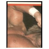 Lot of 15 1985 Topps Wrestling Cards WWF | Hulk Hogan Junkyard Dog Jesse Ventura Mean Gene & More