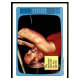 Lot of 15 1985 Topps Wrestling Cards WWF | Hulk Hogan Junkyard Dog Jesse Ventura Mean Gene & More