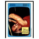 Lot of 15 1985 Topps Wrestling Cards WWF | Hulk Hogan Junkyard Dog Jesse Ventura Mean Gene & More