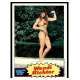 Lot of 16 1985 Topps Wrestling Cards WWF | Rowdy Roddy Piper Brutus Beefcake Jimmy Superfly Snuka Junkyard Dog Iron Sheik & More