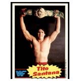 Lot of 16 1985 Topps Wrestling Cards WWF | Rowdy Roddy Piper Brutus Beefcake Jimmy Superfly Snuka Junkyard Dog Iron Sheik & More